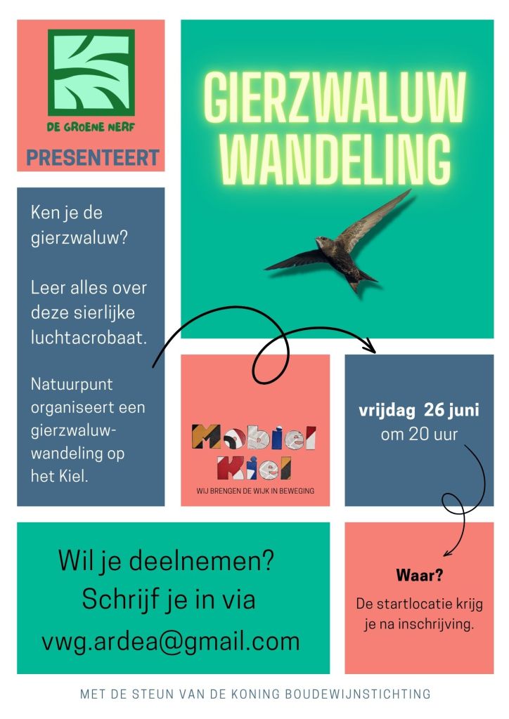 Gierzwaluwwandeling